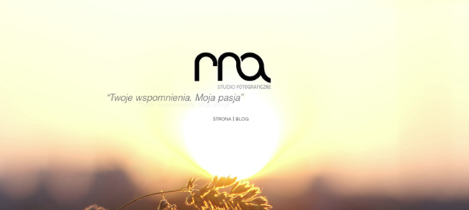 strona interetowa